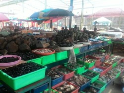 Banting Harga Saat Pembeli Mulai Sepi di Lapak Batu Akik Rawa Bening