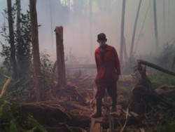 Kabut Asap Tak Kunjung Teratasi, Fraksi Demokrat Dorong Pembentukan Pansus