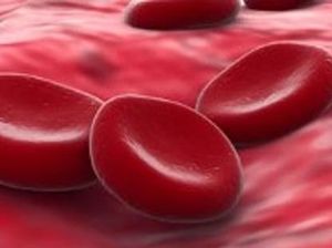 Thalassemia Tak Dapat Disembuhkan, Penyakit Apa Itu? Thalassemia Tak Dapat Disembuhkan, Penyakit Apa Itu?