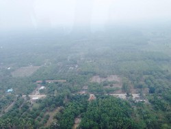 Begini Dahsyatnya Api Membakar Lahan Gambut yang Luas di OKI Sumsel