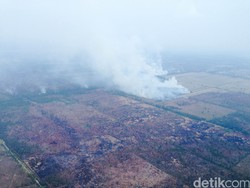 Begini Penampakan Kabut Asap di Kalsel dari Ketinggian 150 Meter