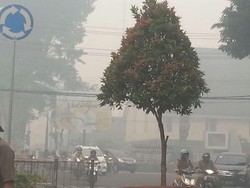 Begini Aktivitas Pagi di Jambi, Paru-paru Melawan Asap