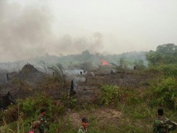 Polres Pelalawan Temukan Aktivitas Ilegal Logging di Taman Nasional