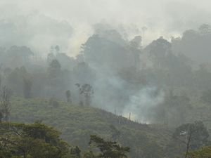 Apa Itu FOLU Net Sink 2030 yang Diisi Kader Partai? Pakar UGM Kritisi Hal Ini Apa Itu FOLU Net Sink 2030 yang Diisi Kader Partai? Pakar UGM Kritisi Hal Ini