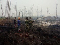 Komisi II DPR Blusukan ke Banjarmasin dan Palangkaraya Cek Kabut Asap