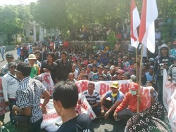 Nelayan Benih Lobster Demo Kebijakan Larangan Penangkapan Benur