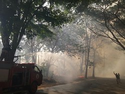 Walhi: Pemerintah Tak Boleh Hanya Menunggu Hujan Turun