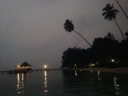 Ombak, Nyanyian Malam, dan Cerita tentang Kepiting yang Masuk Kamar