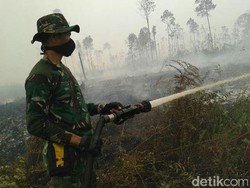 Begini Aksi Kostrad saat Berjibaku Padamkan Kebakaran Lahan di Riau