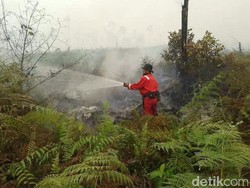 Ini Alasan RI Jajaki Bantuan Kanada dan Prancis Padamkan Kebakaran Hutan