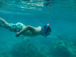 Keajaiban Ora, Surga Bawah Laut Tersembunyi di Maluku