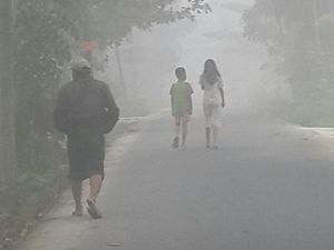 Asap Tak Kunjung Hilang, Pemkot Pekanbaru Tetapkan Siaga Darurat