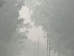 TNI AU Segera Gunakan Bantuan Bahan Kimia untuk Padamkan Api