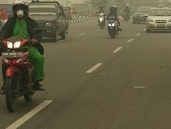 Riau Sempat Ajukan Perda Buka Lahan dengan Bakar Hutan tapi Ditolak Pusat