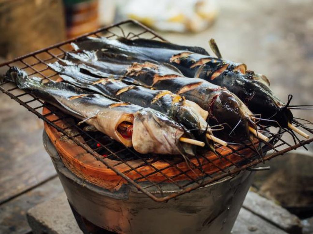 Cegah Stunting Bukan Cuma soal Daging Sapi atau Lele, Begini Catatan Ahli Gizi Cegah Stunting Bukan Cuma soal Daging Sapi atau Lele, Begini Catatan Ahli Gizi
