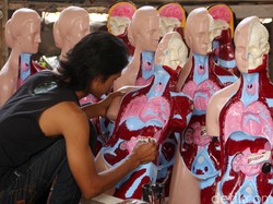 Contoh Sistem Organ Tubuh Manusia dan Fungsinya