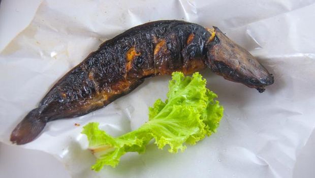 5 Ikan Pengganti Salmon untuk Anak, Lebih Murah & Bernutrisi