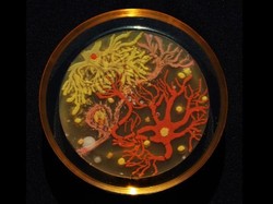 Ilmuwan-ilmuwan Ini Memanfaatkan Mikroba untuk Dijadikan Seni