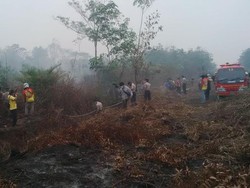 Sejak 17 Tahun Silam Selalu Ada Kebakaran di Sumsel