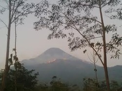 BKSDA Akhirnya Tutup Jalur Pendakian Gunung Argopuro