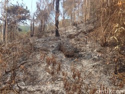 Perjalanan Berhiaskan Asap