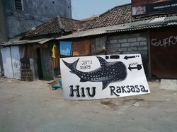 Hiu Paus Terdampar di Perairan Kenjeran Berkah Bagi Warga