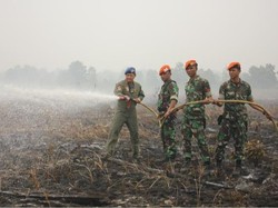 Tim Paskhas di Riau Padamkan Kebakaran Lahan dengan Bahan Kimia