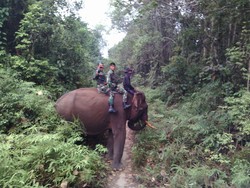 TNI Kembali Rotasi Pasukan Satgas Pemadaman Kebakaran Hutan