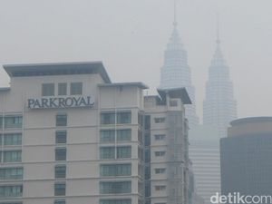 Alasan Pengusaha Gugat Pasal Sakti Penjerat Pembakar Hutan ke MK