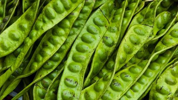 Doyan Petai? Ini Dia 10 Manfaat Mengonsumsi Petai