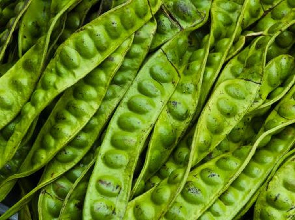 Jengkol dan Petai Bisa Menurunkan Hipertensi, Benarkah? Jengkol dan Petai Bisa Menurunkan Hipertensi, Benarkah?