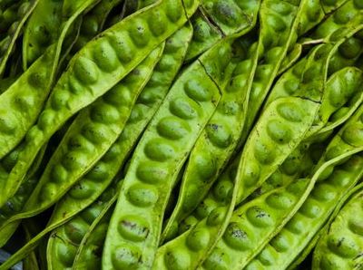 Doyan Petai? Ini Dia 10 Manfaat Mengonsumsi Petai
