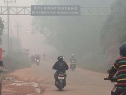 Asap Makin Pekat, Beberapa Sekolah di Sumut dan Riau Masih Libur