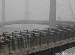 Apa Kabar Penanganan Kasus Pembakaran Hutan dan Lahan?
