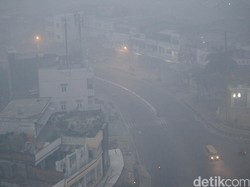 Eksekusi Vonis Pembakar Hutan, Kejagung Tunggu Lampu Hijau dari Kemenhut