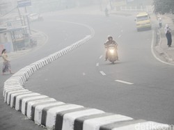 Cerita Prajurit Kostrad Lihat Gajah Liar yang Mengamuk di Kawasan Hutan Terbakar