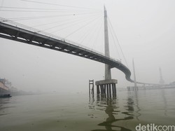 Ternyata, DPD Juga Bentuk Pansus Kebakaran Hutan dan Lahan