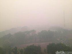 Semalam Diguyur Hujan, Begini Kondisi Palangkaraya Pagi Ini