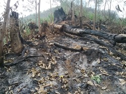 Tak Ditemukan Serpihan Benda Asing di Bengkulu, ini Penampakan Lokasinya