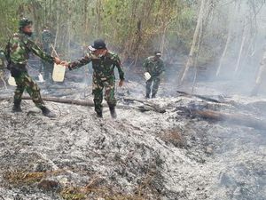 Pertumbuhan Ekonomi 2015 Terkoreksi 0,5% Karena Kebakaran Hutan
