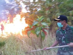 Kasus Pembakaran Hutan, Kejagung Terima 50 Berkas Perkara dari Mabes Polri