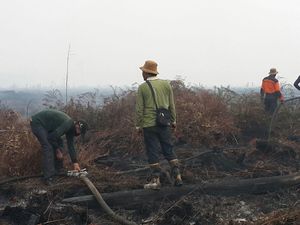 Cara Pemerintah Percepat Pemulihan Lahan Gambut