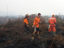 Badan Restorasi Gambut Akan Jadi Jualan Indonesia di KTT Iklim