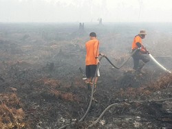 Temuan Baru: Ada Hubungan Kebakaran Lahan Gambut dengan Pilkada