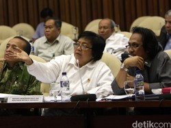 KLH Ungkap 23 Perusahaan yang Terlibat Kebakaran Hutan, ini Daftarnya