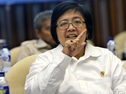 Kemenhut Ajak Warga Kunjungi Taman Nasional, Nikmati Alam Nusantara