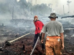 Sidang Kebakaran Lahan, PT LIH Sebut Api dari Luar Kebun