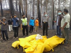 1 Pegawai Perhutani dan 3 Warga Ponorogo Tewas saat Padamkan Kebakaran Hutan