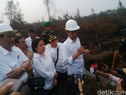Jokowi: Semua Lahan Gambut yang Rawan Terbakar Akan Dibuat Kanal Bersekat