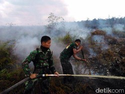 Tim Kostrad Masih Padamkan Api di Hutan Suaka Margasatwa Kerumutan Riau
